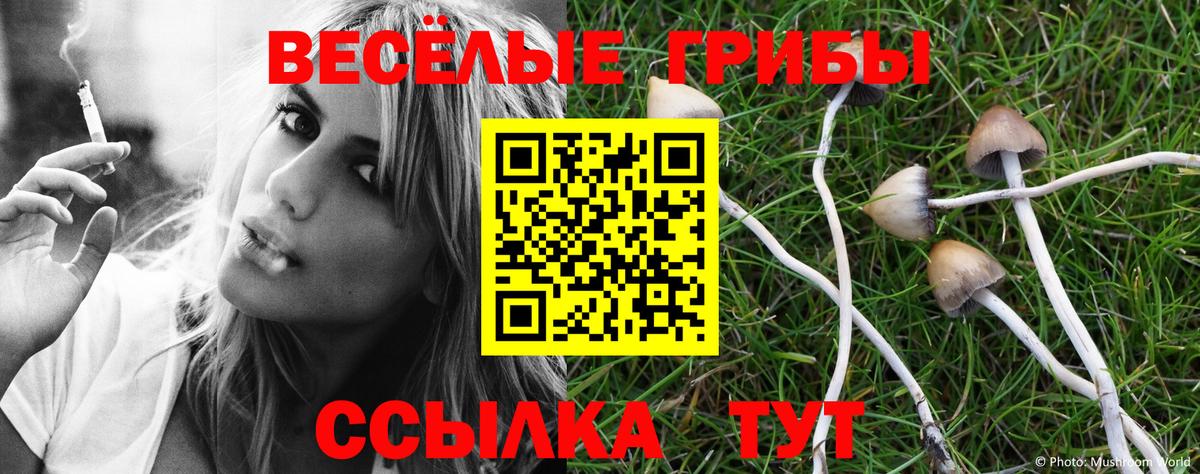 Псилоцибиновые грибы мицелий  Псилоцибиновые грибы GOLDEN TEACHER  Вход с VPN  Кунгур 