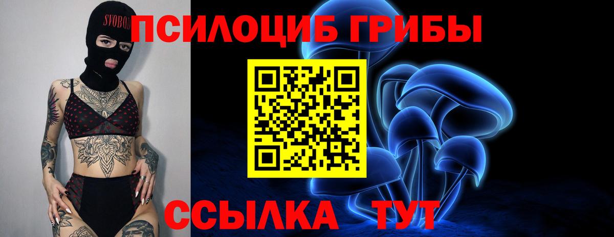 Галлюциногенные грибы прущие грибы Кунгур